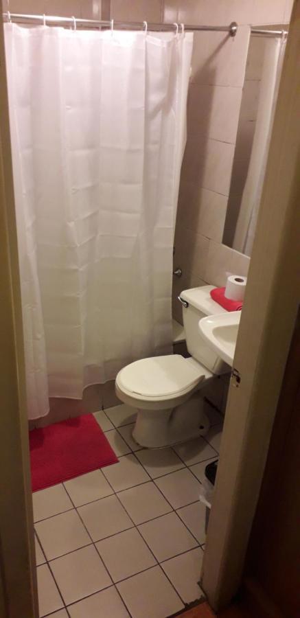 Hostel Dyd Темуко Екстериор снимка